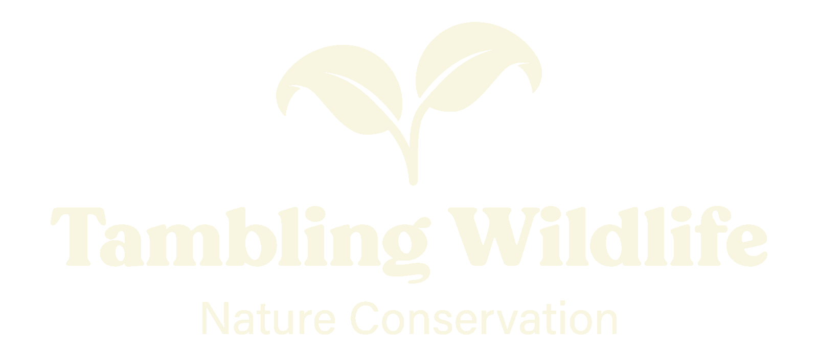 Tambling Wildlife Nature Conservation